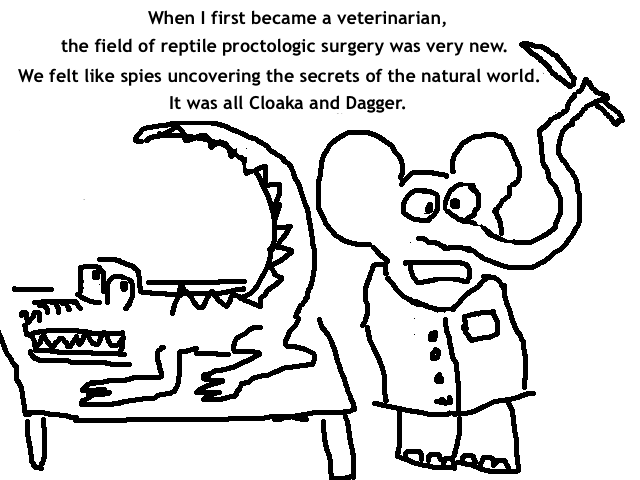 
    When I first became a veterinarian, the field of reptile proctologic surgery
    was very new. We felt like spies uncovering the secrets of the natural world.
    It was all Cloaka and Dagger.
  